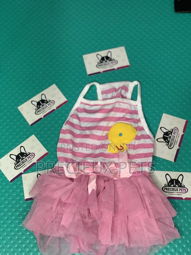 Toy Dog Clothings Series 0055 · Photo 3