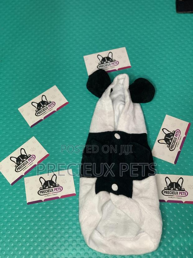 Toy Dog Clothings Series 0056 · Photo 1