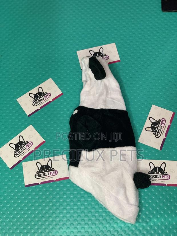 Toy Dog Clothings Series 0056 · Photo 2