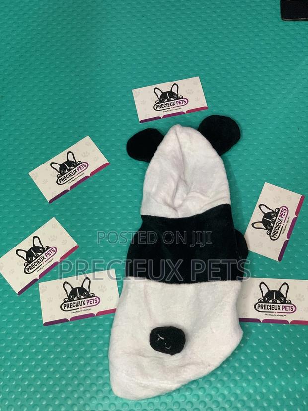 Toy Dog Clothings Series 0056 · Photo 3