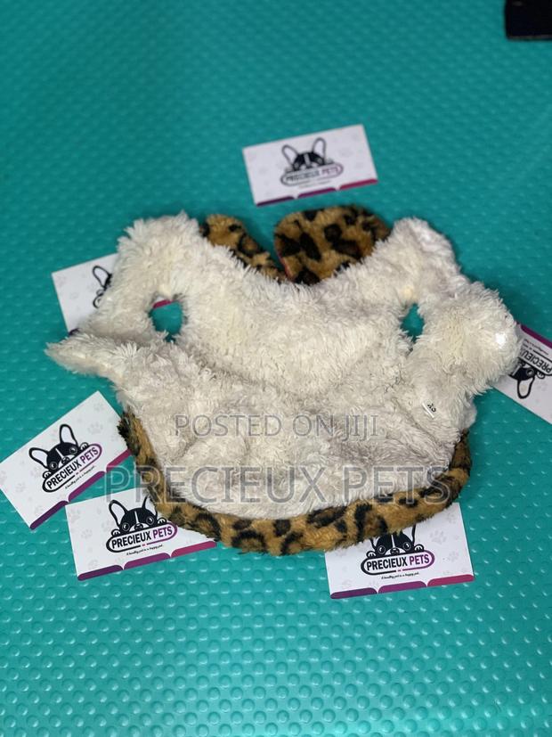 Toy Dog Clothings Series 0 -050 · Photo 1