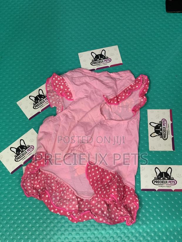 Toy Dog Clothings Series 0062 · Photo 1