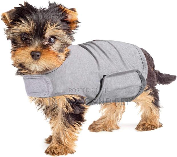 Pet Cuddle Vest · Photo 1