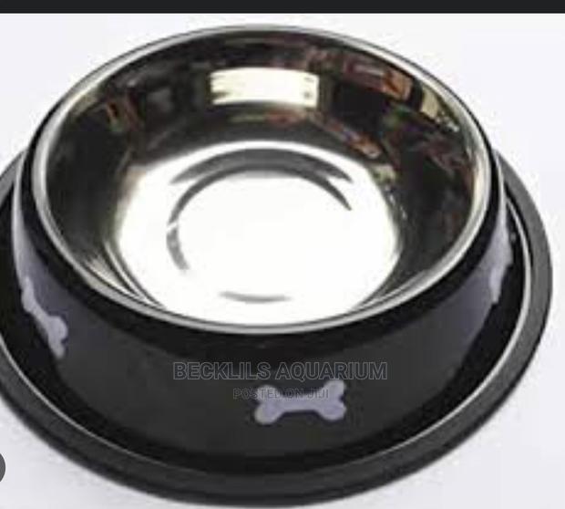 Large Size Dog Bowls · Photo 2
