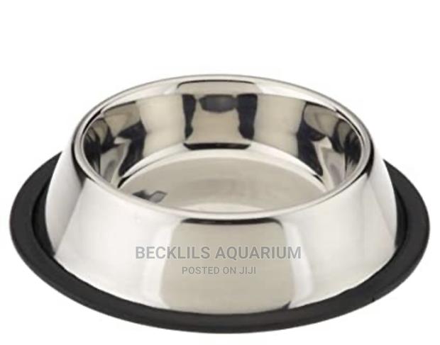 Large Size Dog Bowls · Photo 3