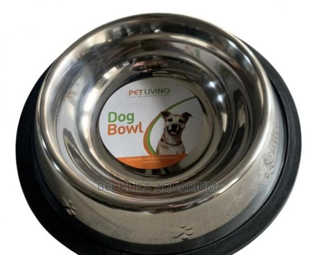 Large Size Dog Bowls · Photo 1