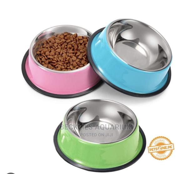 Large Size Dog Bowls · Photo 4