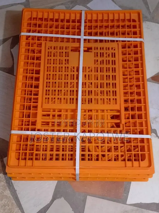 Transport Cage · Photo 3