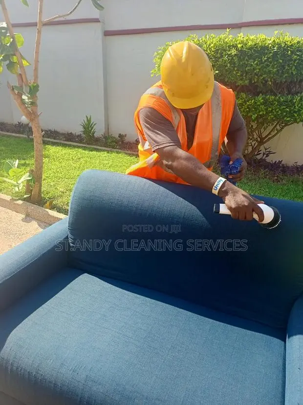 Cleaning Sofa and Polish · Photo 1