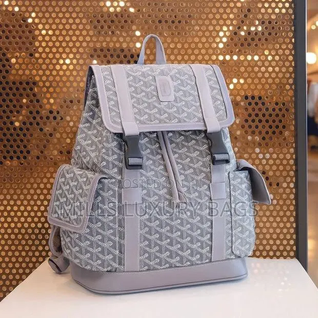 Goyard Backpack · Photo 1