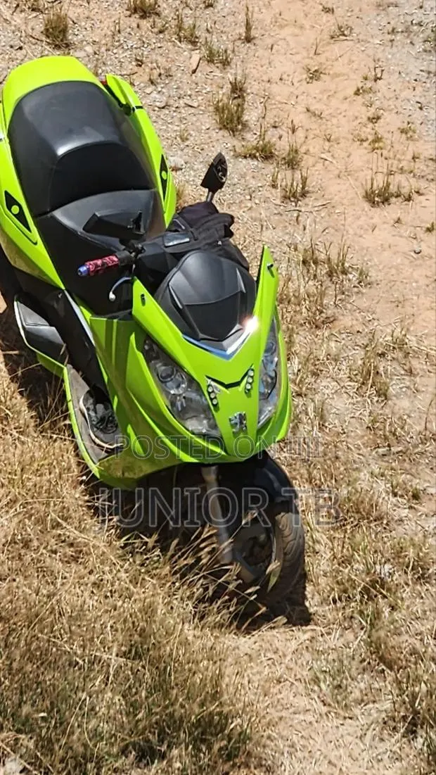 Peugeot Satelis 2 2006 Green · Photo 1