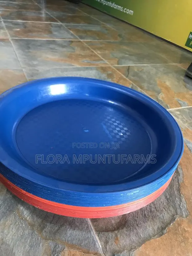 Chick Tray · Photo 1