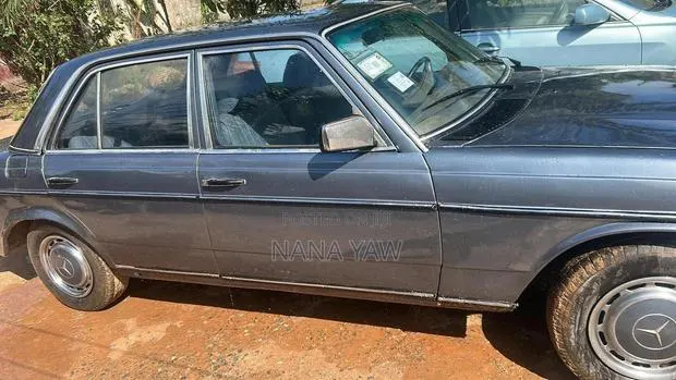 Mercedes-Benz W123 1981 Gray · Photo 1