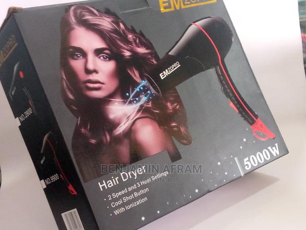 Executive Emprozo Hair Dryer · Photo 1