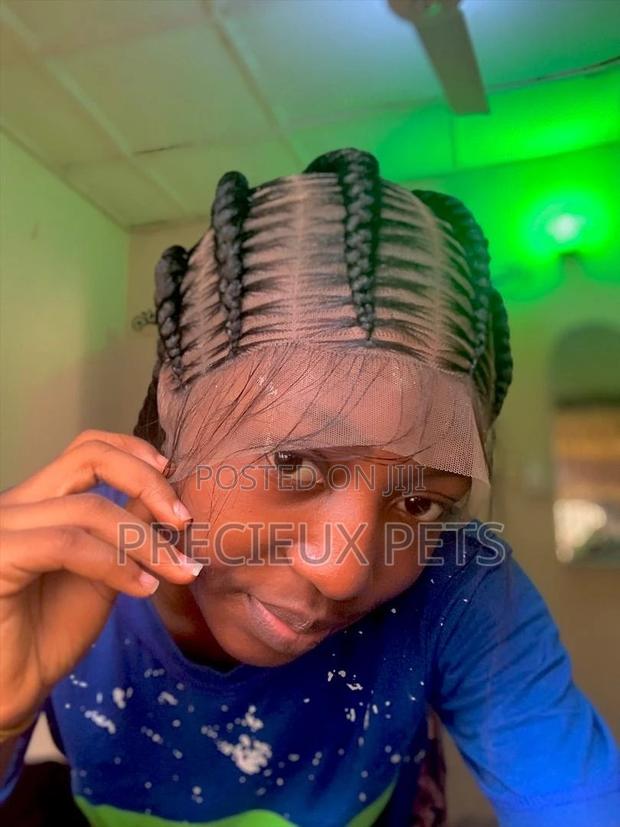 Full Lace Braided Wig · Photo 1