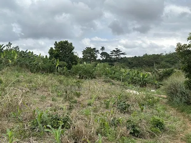 Plot of Land for Sale at Santasi-Darko · Photo 1