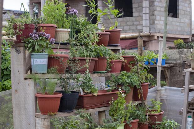 Home Garden Setup · Photo 4