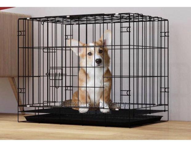 Metallic Indoor Cages · Photo 1