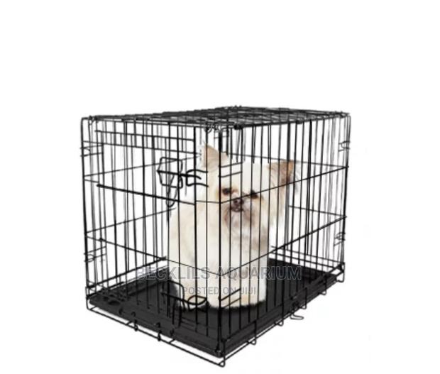 Metallic Indoor Cages · Photo 4