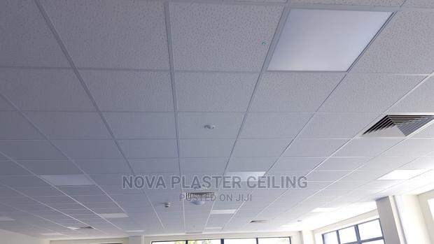 Ceiling Tiles · Photo 1