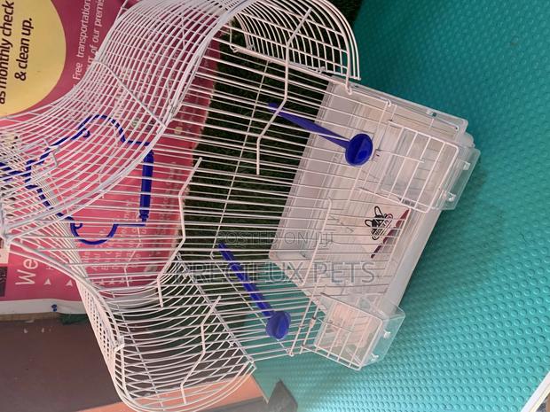 Parakeets Cage Series 1 · Photo 2