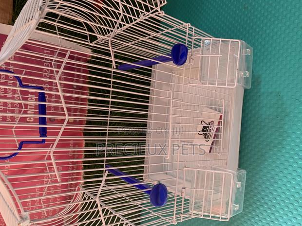 Parakeets Cage Series 1 · Photo 5