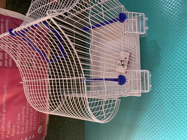 Parakeets Cage Series 1 · Photo 4