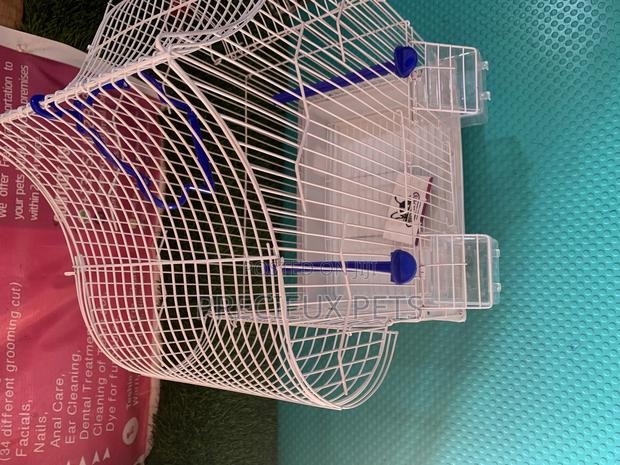 Parakeets Cage Series 1 · Photo 3