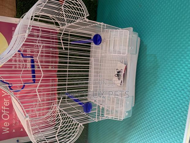 Parakeets Cage Series 1 · Photo 1