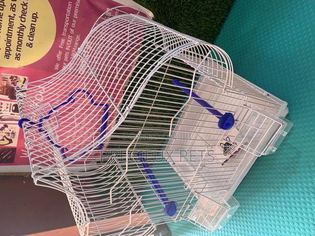 Parakeets Cage Series 1 · Photo 6