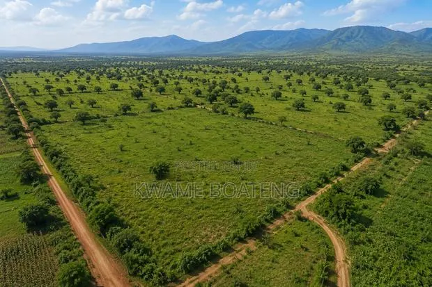 Farmland for Sale · Photo 1