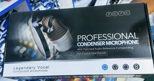Legendary Vocal Professional Condenser Microphone · Photo 1