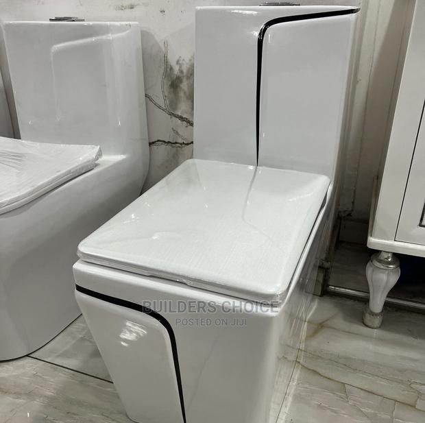 One Piece White And Black _wc _water Closet · Photo 2