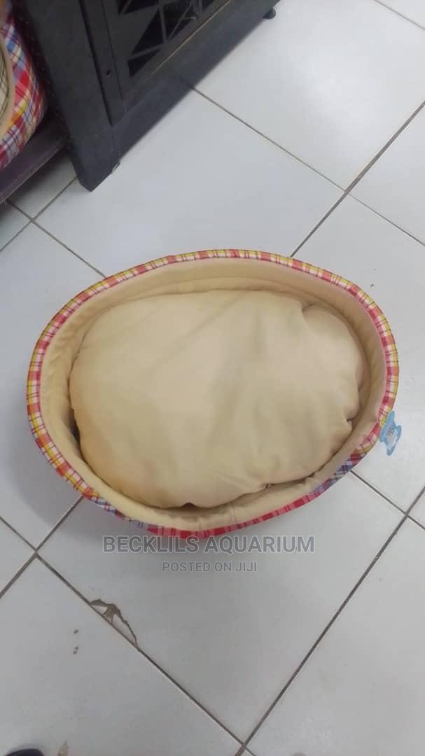 Quality Beds for Dogs · Photo 2