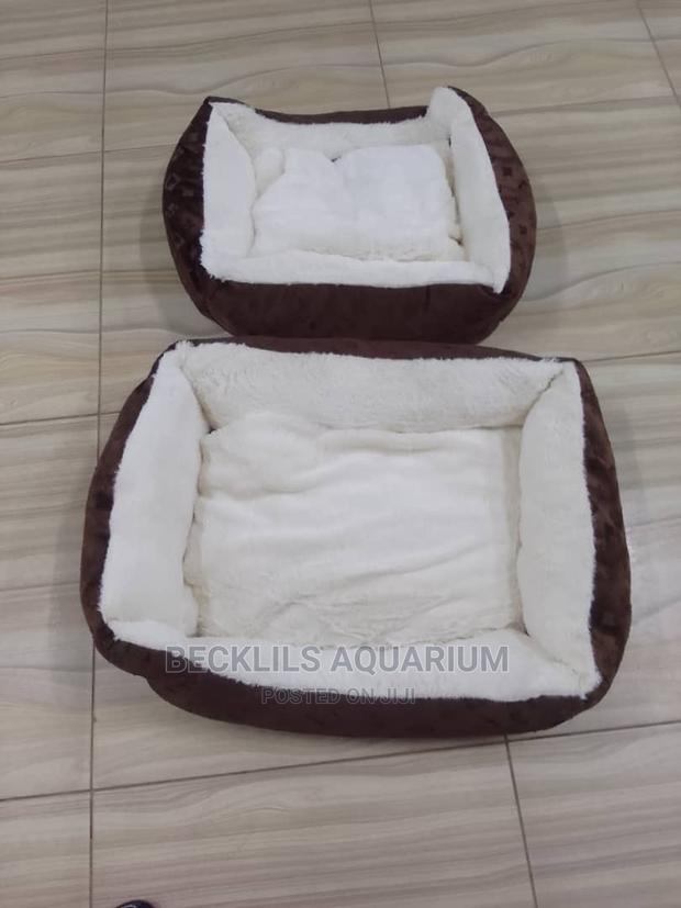 Quality Beds for Dogs · Photo 1