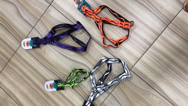 Harness Available for Dogs · Photo 1
