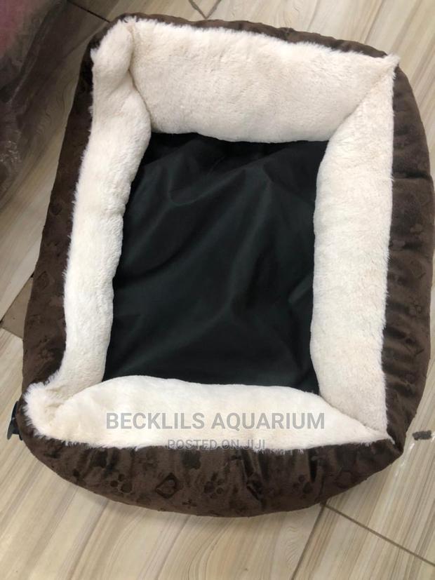 Beds for Small Dogs · Photo 1