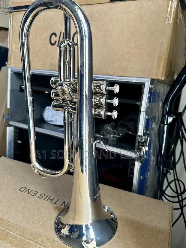 Titanic Usa Yfh-631gs Bb Flugelhorn [Silver] · Photo 1