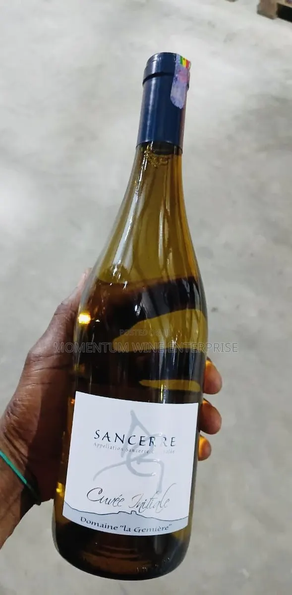 Domaine La Gemière Cuvée Initiale Sancerre 750ml · Photo 1
