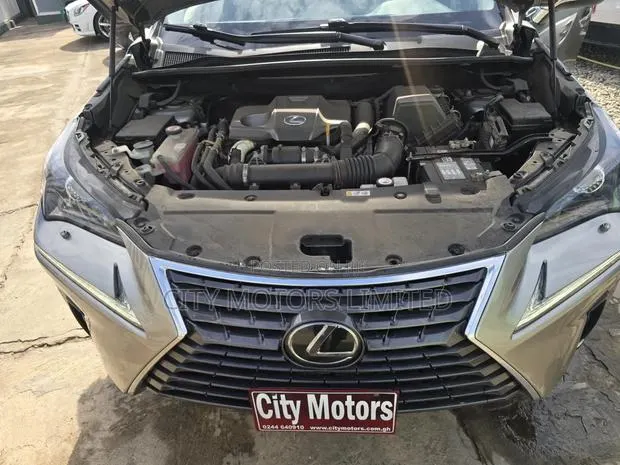 Lexus NX 300 FWD 2021 · Photo 1