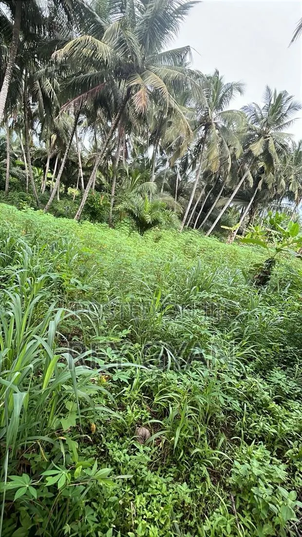3 Acres (12Plots) Available at Agona Swedru,Pipetank · Photo 1