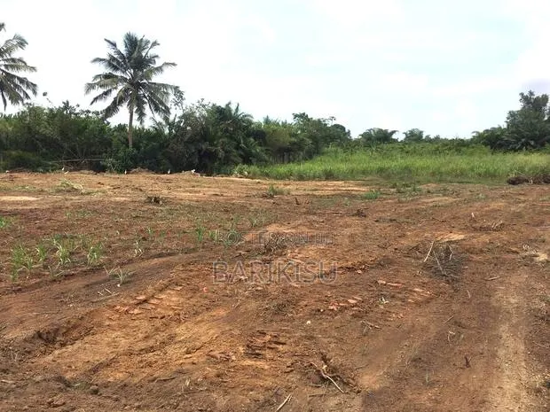 Litigation Free Plots of Land for Sale · Photo 1