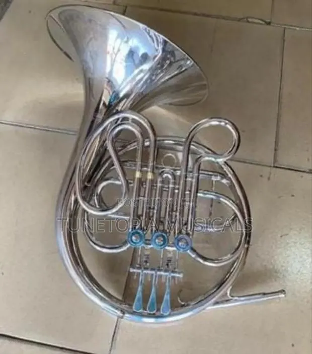 Titanic Gold/Silver-plated Double French Horn · Photo 1