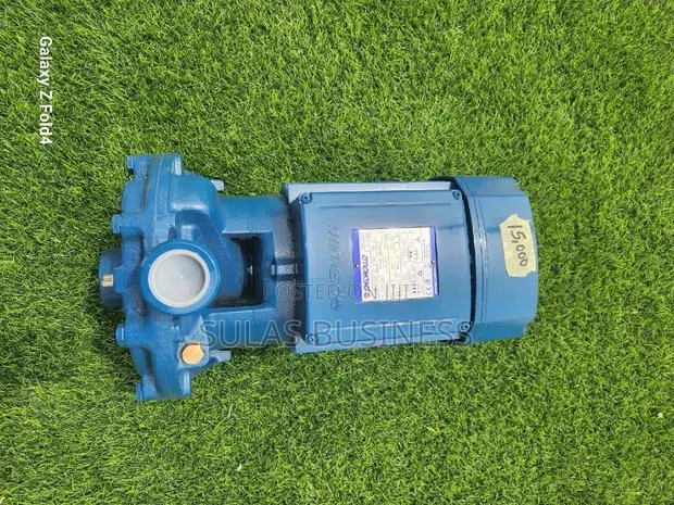 Double Impeller 4HP Pedrollo Pressure Pump · Photo 1