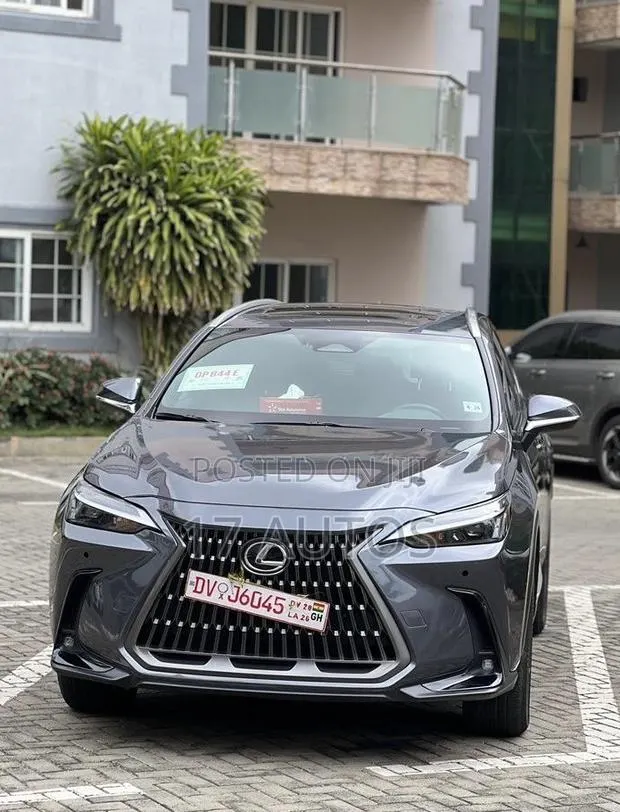 Lexus NX 350 AWD 2024 Gray · Photo 1