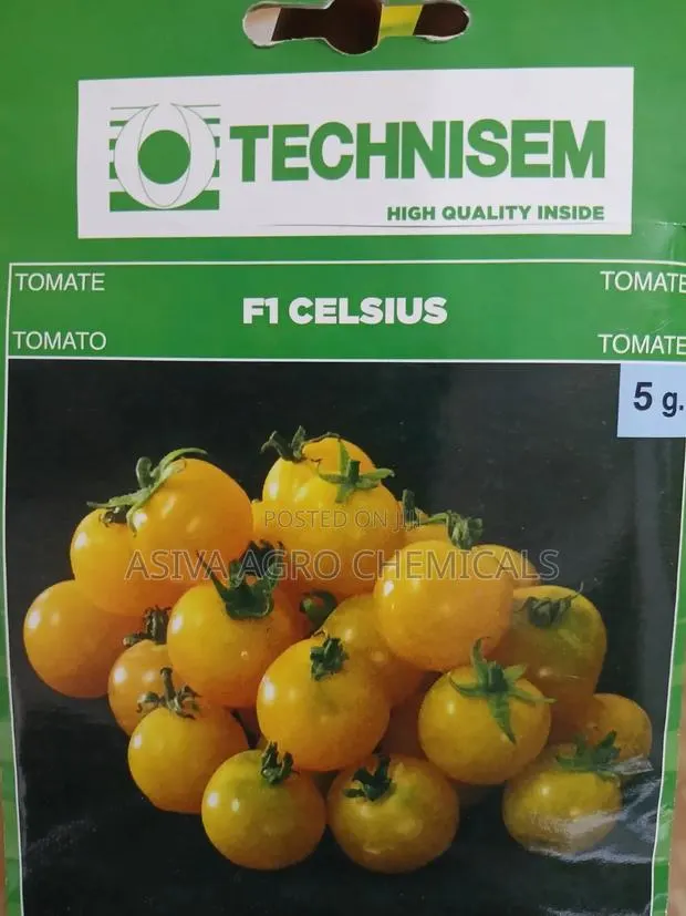 F1 Celsius Cherry Tomato Seeds · Photo 1