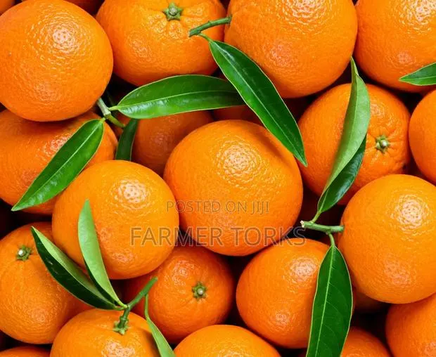 Foreign Tangerine · Photo 1