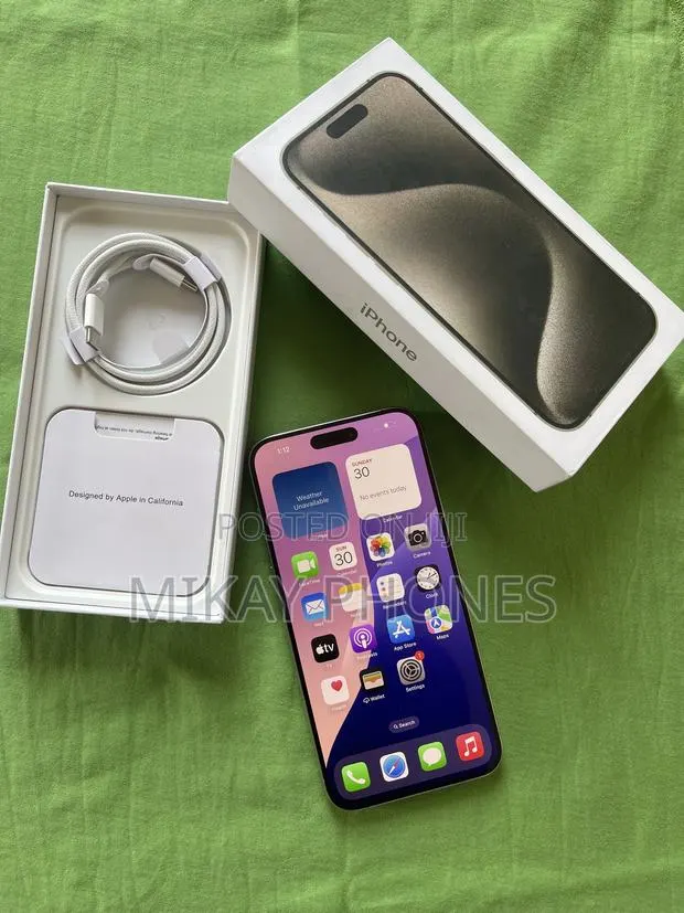 Apple iPhone 15 Pro Max 256 GB Silver · Photo 1