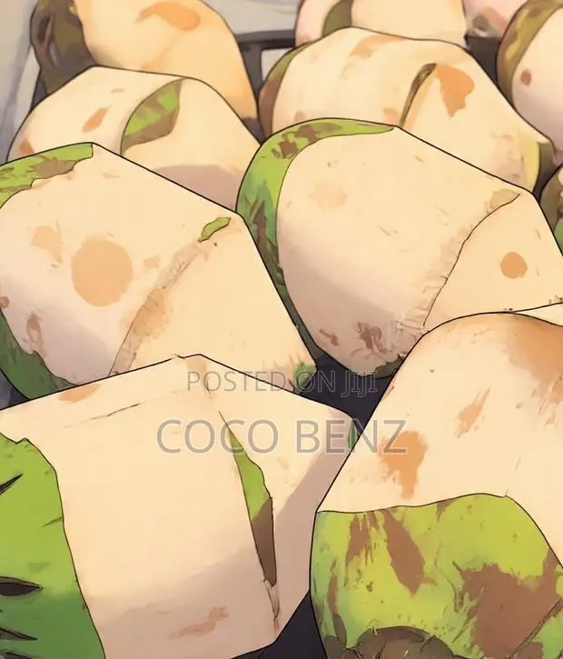 Premium Branded Fresh Coconuts · Photo 2