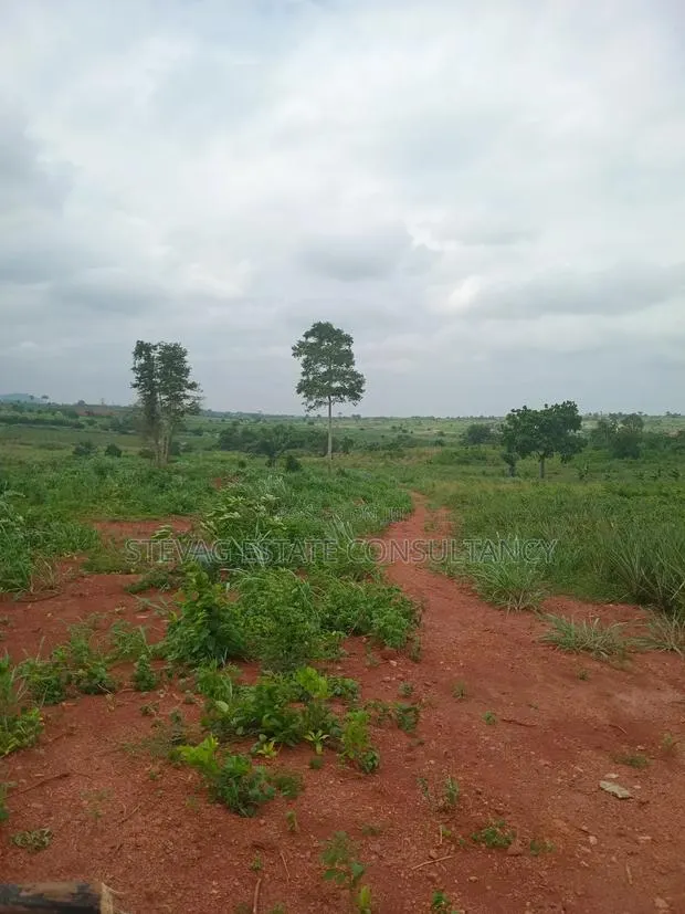Alpha Estate Land for Sale Kweikrom · Photo 4